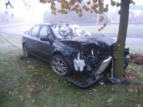 Car Crashes Into Tree
